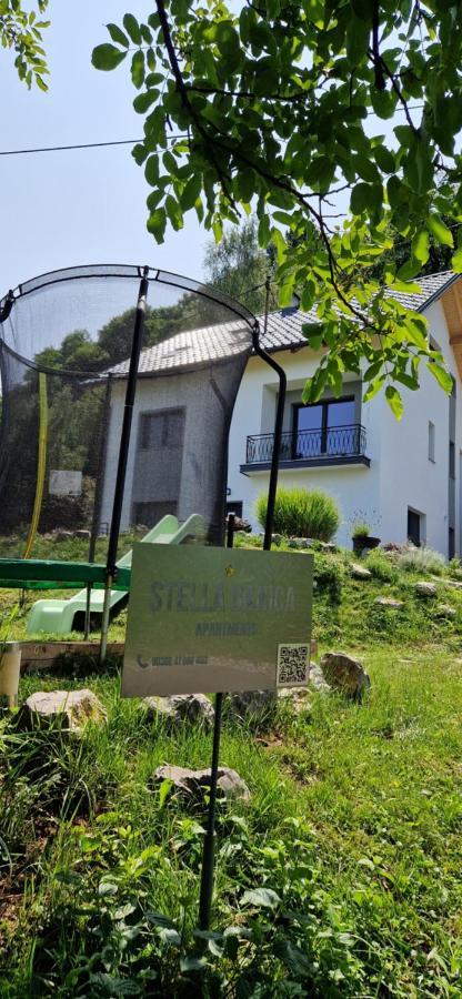 Apartment Stella Danica チャテジ・オプ・サヴィ エクステリア 写真